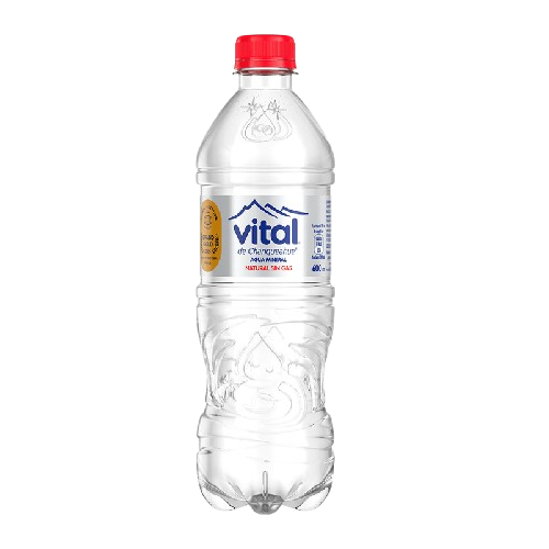 Agua Vital 600 ML